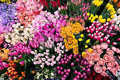 《最终幻想：水晶编年史》制作人承诺将来会有续作