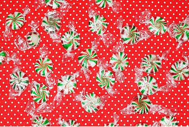 《美国卡车模拟》DLC“怀俄明州”开发版演示公布